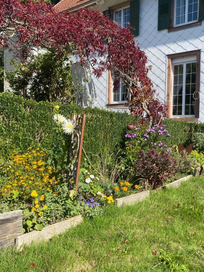La Vieille Eglise Bed & Breakfast Le Hohwald Exterior photo